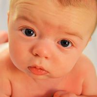 Cheryl Strunk Photo 6