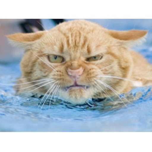 Jorge Valentin Photo 18