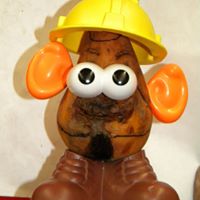 Craig Grove Photo 18