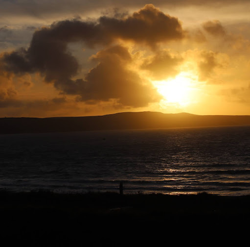 Martin Webb Photo 18