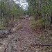 Constance Paddock Photo 2