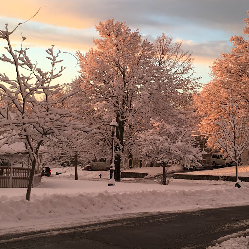 Brenda Murphy Photo 4