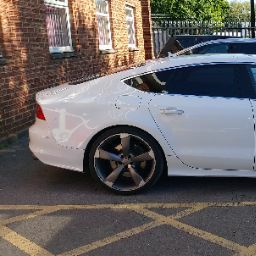 Steven Wyatt Photo 18