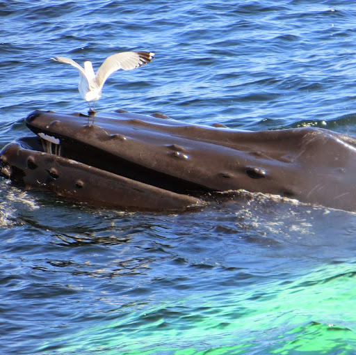 Catherine Carver Photo 16