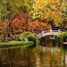 Juan Benitez Photo 36 Juan Benitez Photo 36