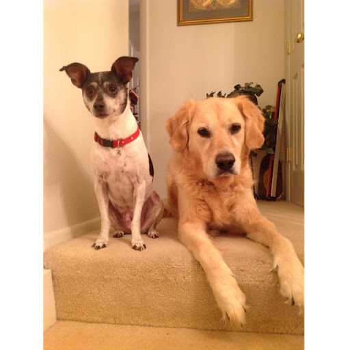 Irene Sharp Photo 17