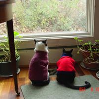 Jane Smiley Photo 23 Jane Smiley Photo 23