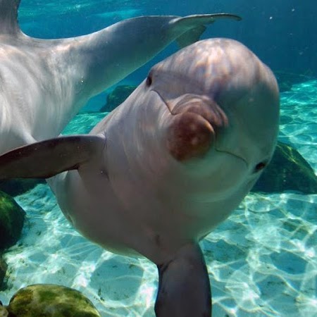 Aracel Ramirez Photo 2