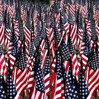 Susan Fancher Photo 9