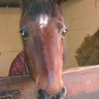 Teresa Reading Photo 4