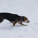 Brandy Hunt Photo 31