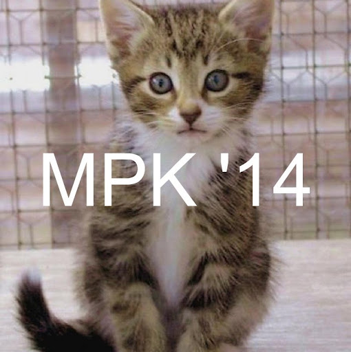 April Folsom Photo 9