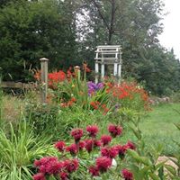 Deborah Langley Photo 17