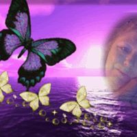 Allen Helms Photo 13