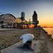 Hal Holland Photo 17