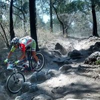 Santos Lucero Photo 8