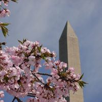 Elizabeth Harder Photo 24