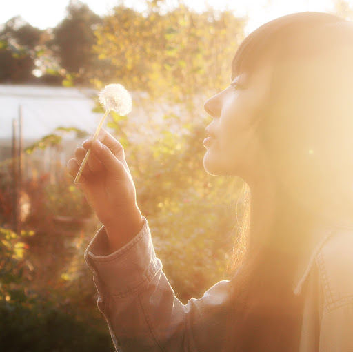 Di Lin Photo 25