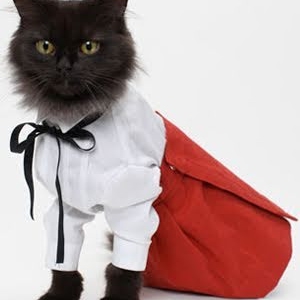 Ryan Davidson Photo 40