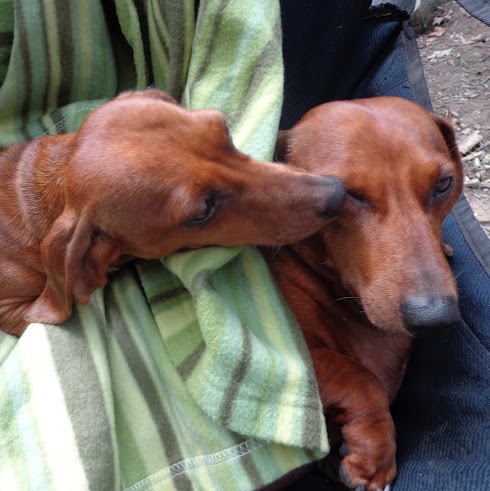 Debbie Yoder Photo 11