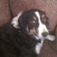 Jeffrey Talley Photo 21