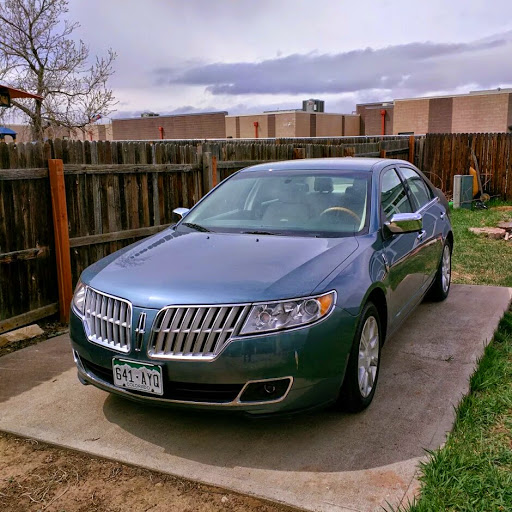 Michael Robins Photo 12