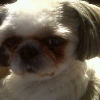 Vickie Gregg Photo 12