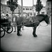 Paul Feeney Photo 5