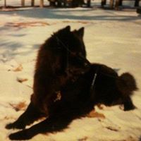 Joyce Payne Photo 23