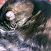 Benny Long Photo 24