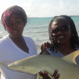 Sandra Seymour Photo 34