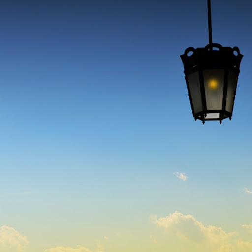 Annie Hopkins Photo 17