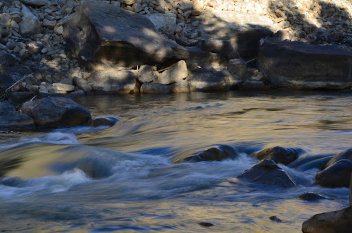 Jane Chapman Photo 23