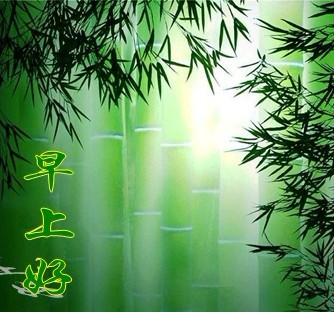 Bing Cheng Photo 27