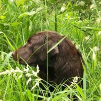 William Wicks Photo 21