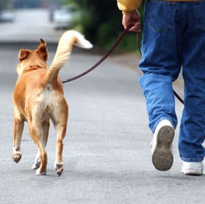 Kenneth Kurtz Photo 30