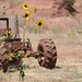 Shawn Wilt Photo 18