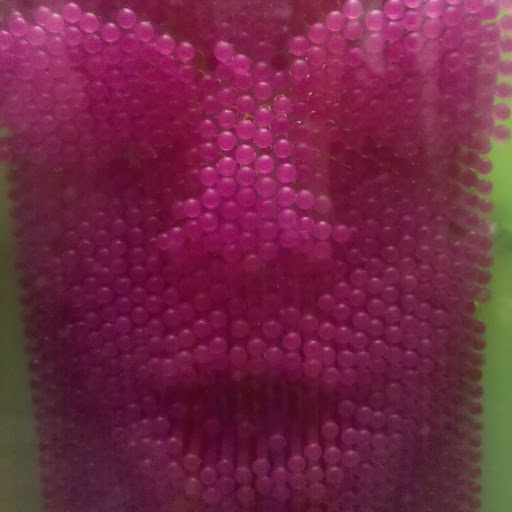 Jack Buchanan Photo 39