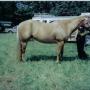 Judy Webster Photo 7