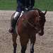 Kristin Bachman Photo 23