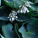 Billy Blackmon Photo 36