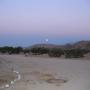 Colleen Moyer Photo 3