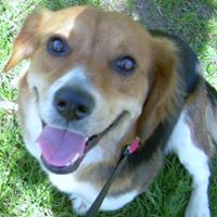 Sadie Stone Photo 11