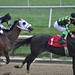 Jason Irwin Photo 34