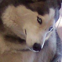 Shirley Mohr Photo 20