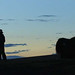Lynn Walker Photo 5