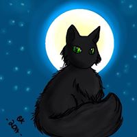 Bridgette Spencer Photo 18