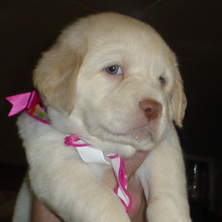 Kathy Zimmerman Photo 15