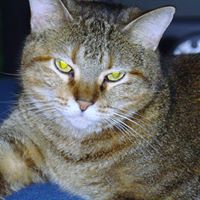 Sandra Swanson Photo 22