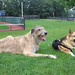 Jerry Shepherd Photo 20